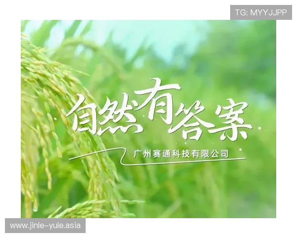 南宫28ng娱乐用户指南详解注册登录流程，解决新手玩家的入门难题快速上手游戏